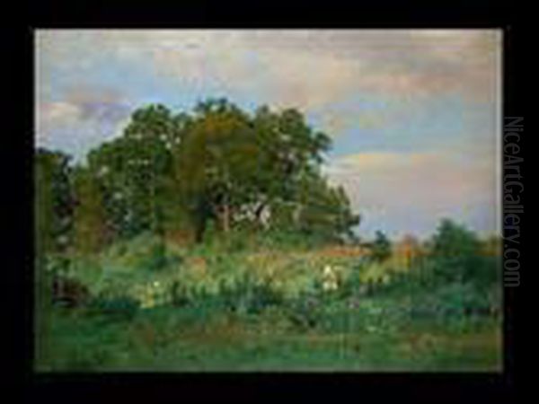 Sommerliche Baumlandschaft Oil Painting by Stephanie Von Strechine