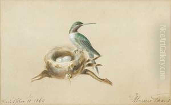 Kolibri Mit Nest. Oil Painting by Maria Von Thurn Und Taxis