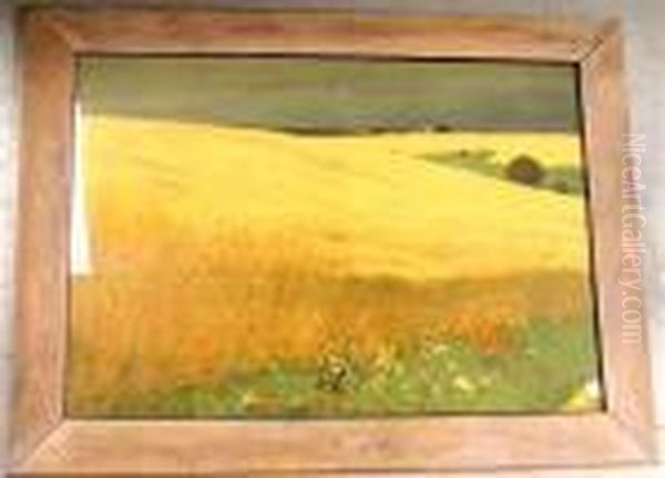 Fields With
Flowers Oil Painting by Hans Richard Von Volkmann