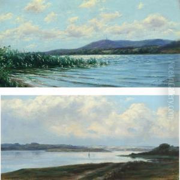 Landscapes With View Over Julso In Silkeborg Oil Painting by Johan Peter Von Wildenradt