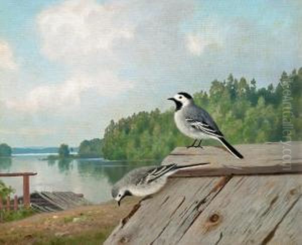 Small Birds On The Roof Oil Painting by Ferdinand Wilhelm Von Wright