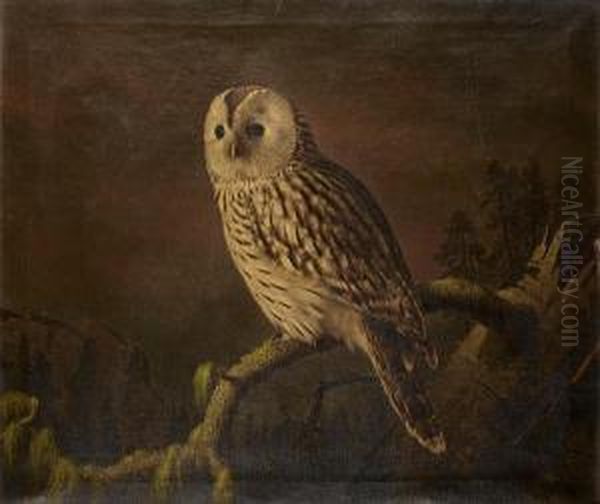 A Ural Owl Perching On A Branch Oil Painting by Ferdinand Wilhelm Von Wright