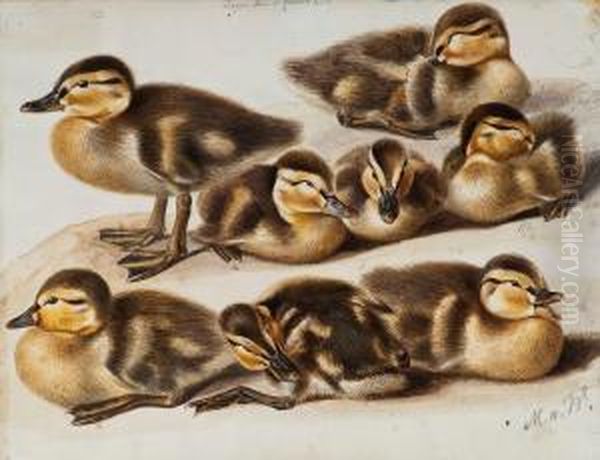 Ducklings. Oil Painting by Magnus Von Wright