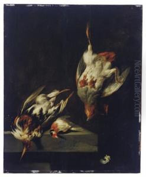 A Partridge And Other Game Birds On A Marble Ledge Oil Painting by Jacobes Vonck