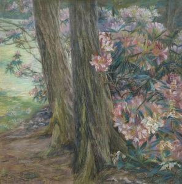 Rhododendron In A Garden. Oil Painting by Clara Voortman