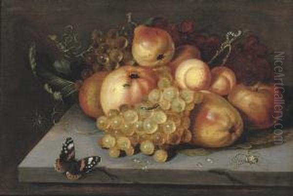 Apples, Grapes, Pears And Apricots On A Stone Ledge With Abutterfly, And Spiders Nearby Oil Painting by Jacob Woutersz Vosmaer