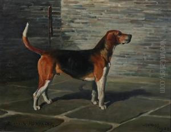 Belvoir Rummager - Hound Oil Painting by Frank Brook Voss