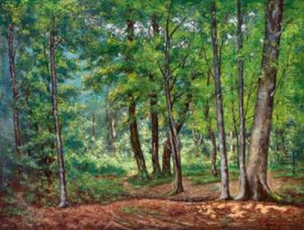 1911 Toulon) Sommerliche Waldlandschaft Oil Painting by Charles Vuagniaux