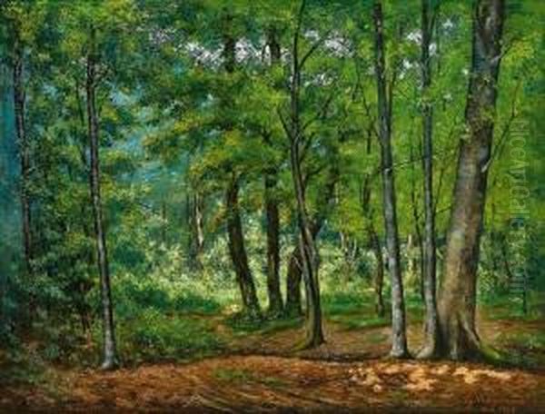 Waldlandschaft Mitsonnigem Lichteinfall Oil Painting by Charles Vuagniaux