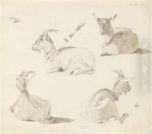 A Study Sheet With Four Goats Oil Painting by Carl Wagner