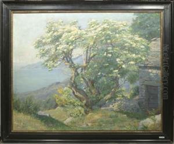 Landschaft Im Tessin Mit Baum. Oil Painting by Jacob Wagner