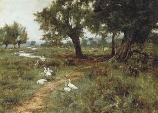 Geese And Cattle Beside A Stream Oil Painting by Edward Wilkins Waite