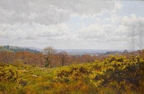 Surrey Hills Oil Painting by Edward Wilkins Waite