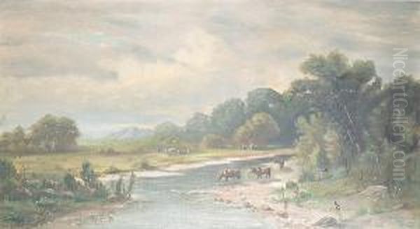 A California Landscape With Cattle Watering In A Stream Oil Painting by J. Walcom