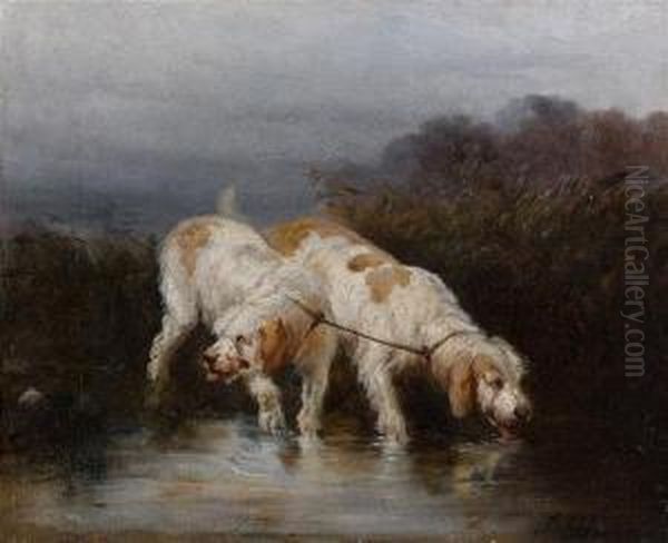 Grand Griffons Vendeens, Couples Se Desalterant Oil Painting by James Alexander Walker