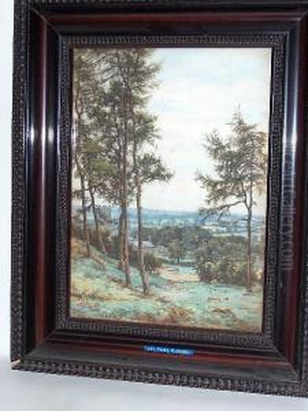 Fir Trees, Richmond Oil Painting by John Doddy Walker