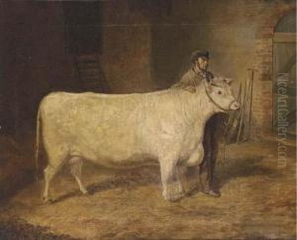 Purity, A Prize Cow Oil Painting by Joseph Francis Walker