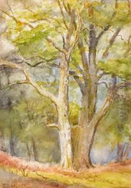 Woodlands Oil Painting by Thomas Bond, Tom Walker