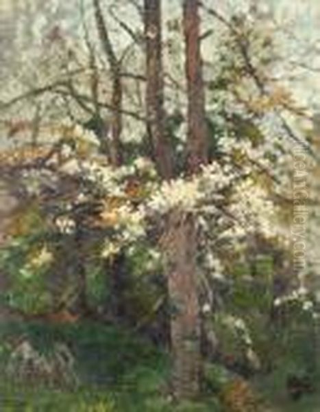 Blossoming Trees Oil Painting by Thomas Bond, Tom Walker