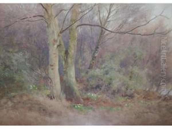 A Woodland Study Oil Painting by William Eyre Walker