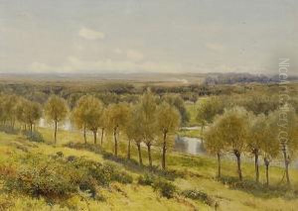 'willow And Watercourses On The River Stort' 'w. Eyre Walker 1893', Titled On Label Verso Oil Painting by William Eyre Walker