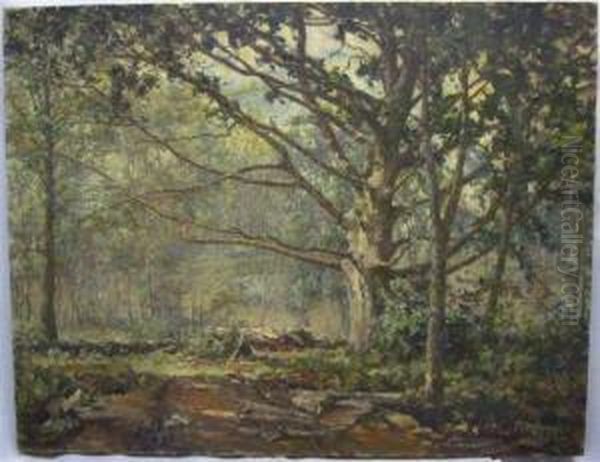 Forestlandscape. Oil Painting by David Birdsey Walkley