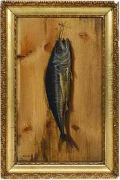 Portrait Of A Mackerel Oil Painting by William Coventry Wall