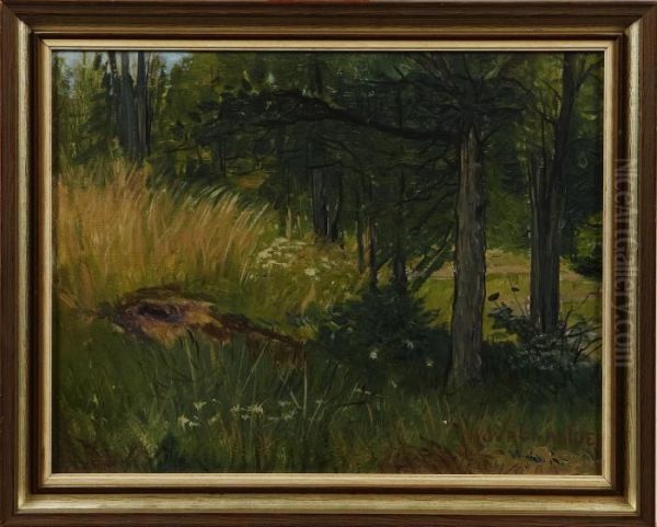 Skogsinterior Oil Painting by Alf, Alfred Wallander