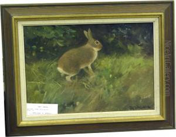 Hare. Oil Painting by M. Wallner