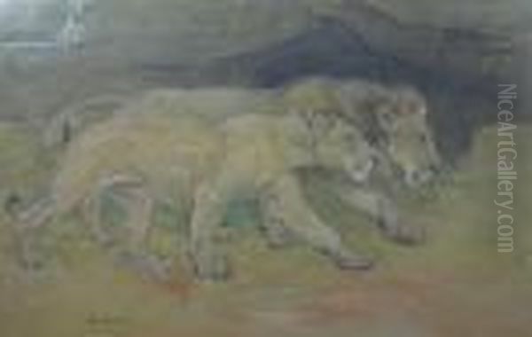 Lions On The Plain Oil Painting by William Walls