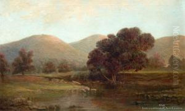 Warrens Creek, Port Fitzroy, Great Barrier Oil Painting by Emma Marie Walrond