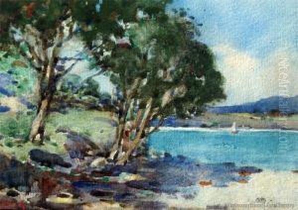 Karaka Bay, Auckland Oil Painting by Arthur Wilson Walsh