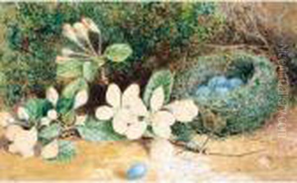 Bird's Nest With Apple Blossom; Chaffinch Nest With Cherry Blossom Oil Painting by Emma Walter