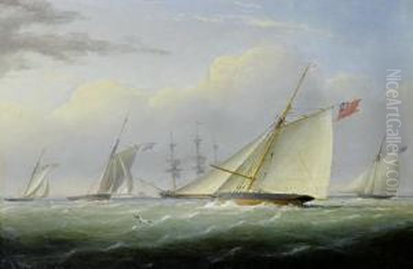 Racing Cutters Of The Royal Yacht Squadron Jockeying For Position In The Solent Oil Painting by Joseph Walter