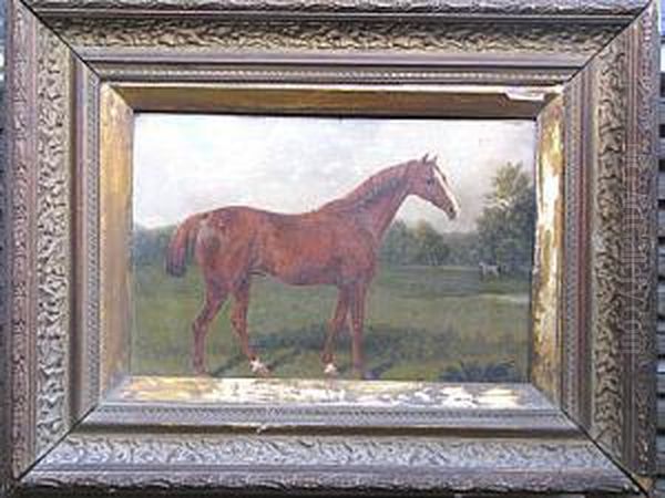 Portrait On A Horse Oil Painting by Miles Walters