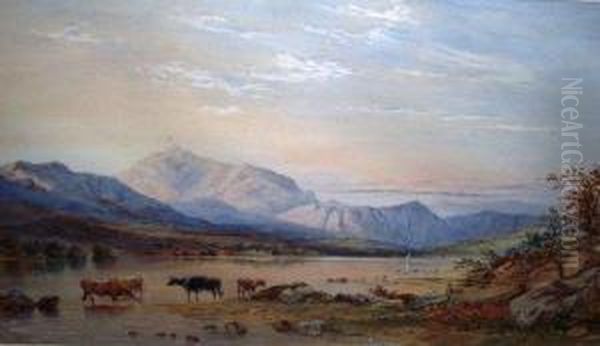 Cattle At Coniston Oil Painting by Cyril Ward