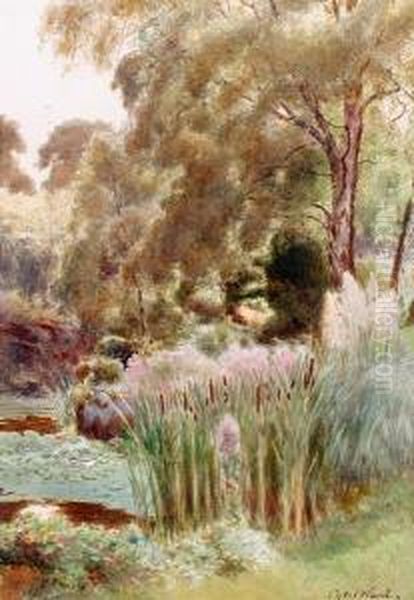 A Corner Of The Upper Lake, Sandringham Oil Painting by Cyril Ward