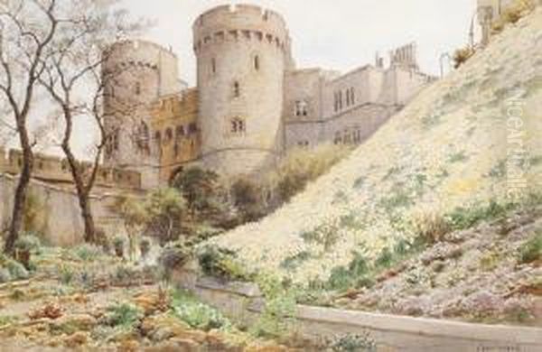 Daffodils On The Hill Under Round Tower,windsor Castle Oil Painting by Cyril Ward