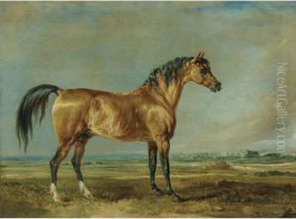 The Marquess Of Londonderry's Arabian Stallion In A Landscape Oil Painting by James Ward