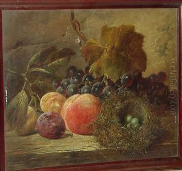 Black Grapes, Plums, A Peach And A Bird's Nest On A Wooden Ledge Oil Painting by James Charles Ward