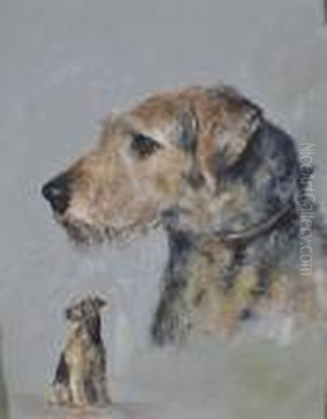 Study Of An Ayrdale Terrier Oil Painting by Arthur Wardle