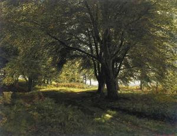 A Young Boy Resting In A Wooded Glade Oil Painting by Edmund George Warren