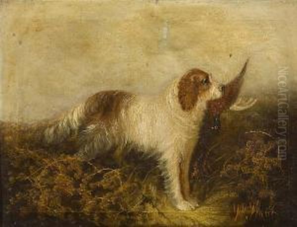 Spaniel And Pheasant Oil Painting by Andrew W. Warren