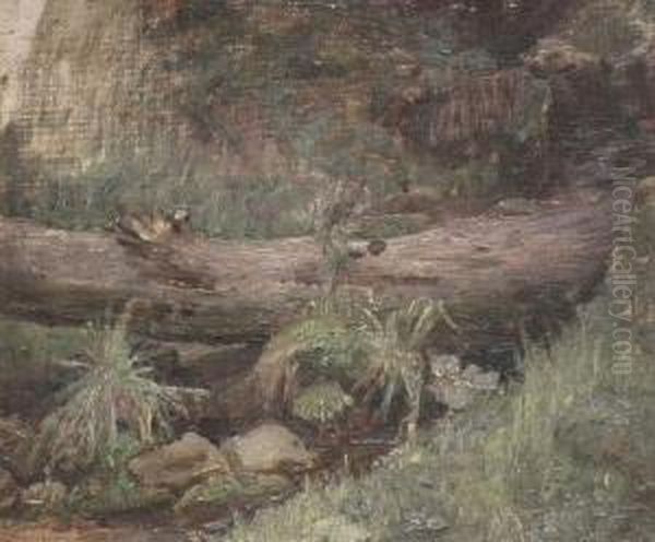 Study Of A Tree Trunk By Astream Oil Painting by John William Waterhouse