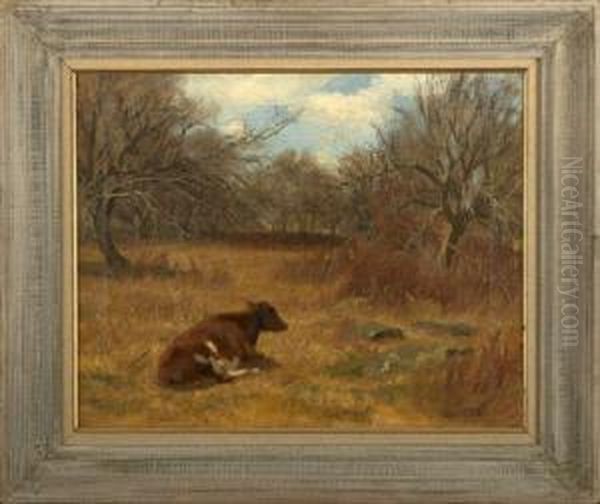 Cow Resting In An Autumnal Country Landscape by Marcus Waterman