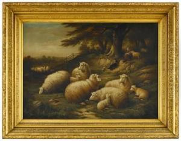 Sheep In A Field Oil Painting by Susan C. Waters