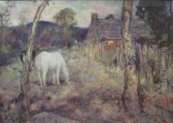 Pony In A Field, Glenesk Oil Painting by David Waterson