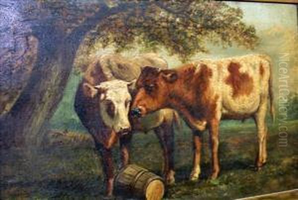 Cattle Study Oil Painting by E Watson