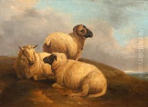 Sheep Before A Landscape Oil Painting by William Watson