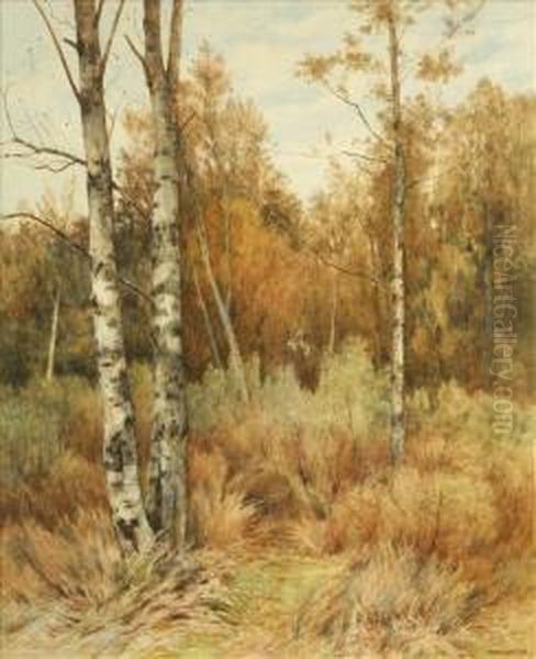 Silver Birches Oil Painting by Thomas J. Watson